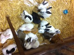 IMG_0554-远洋未来广场(育慧北路店)