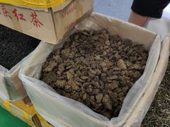 景点-北京展览馆
