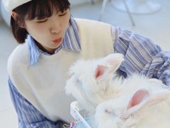 -怪兽屋·羊驼·猫咖·狗咖(俊华广场店)