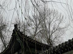 -桃花堤公园