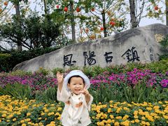 -恩阳古镇