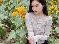-金卉庄园