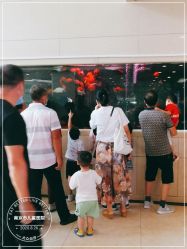 -南京市儿童医院(广州路院区)
