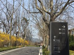 -棒棰岛宾馆景区