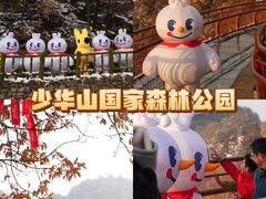 -少华山国家森林公园