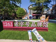 -华山263老字号品牌馆