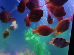 -惠润广场