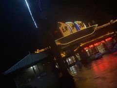 -胖大姐黄辣丁鱼庄(新津店)
