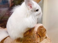 -龙猫仔乐园(惠福东路店)