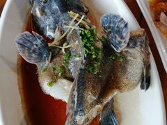 -蓝湾碧波·老字号·疍家非遗海上餐厅