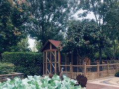 -好彩猪肚鸡(正弘城店)