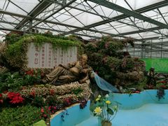 -兰陵国家农业公园