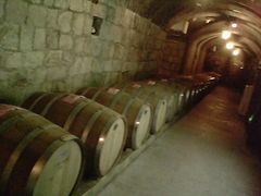 -青岛葡萄酒博物馆