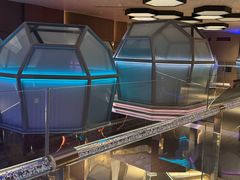 -水之梦(黄浦店)