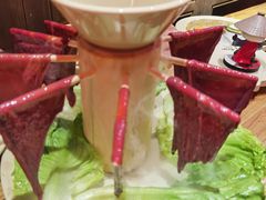 -蜀大侠火锅(森兰花园城店)