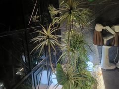 -华夏良子·足道SPA艾灸(金皇大厦店)