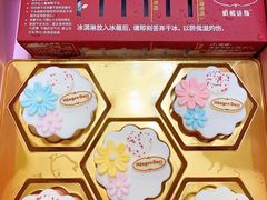 -哈根达斯(扬州瘦西湖店)