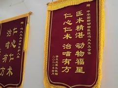 -中农国际动物医院24小时·猫科·骨科·急重症中心