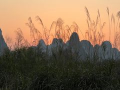 -明仕田园