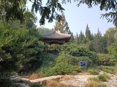 -元大都城垣遗址公园