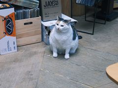 -黑胶星球(华发中城商都店)