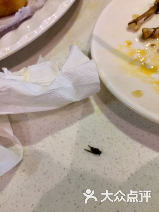 宽宽干锅(崇州万达店)菜虫图片 - 第17张