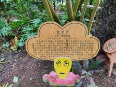 -呀路古热带植物园