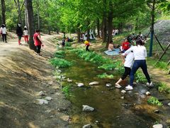 -白水寺森林公园