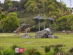 -宁波野生动物园