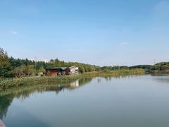 -昆山城市生态森林公园