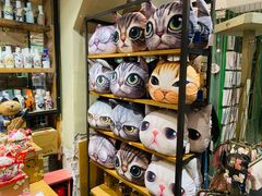-猫咪博物馆(顶澳仔猫街店)