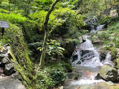 -莫干山风景区