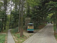 -莫干山风景区