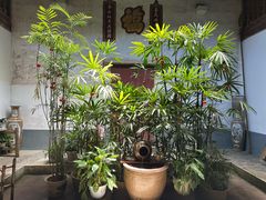 -董府·古宅餐厅
