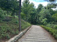 -铁山坪森林公园