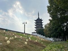 -观潮胜地公园