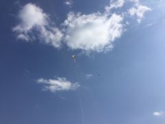 -济南国际园博园