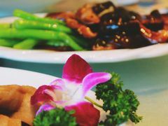-郑州烤鸭总店