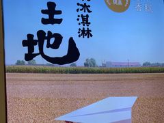 -野人先生现做冰淇淋(深圳壹方城店)