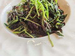 苋菜-新木器时代餐厅(太湖新天地店)