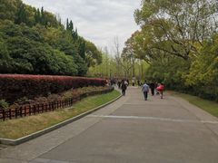 -黄兴公园