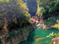 -龙湾潭国家森林公园