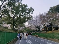 -奈良公园