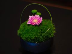 -淮香国色·淮扬菜(正大中心店)