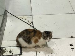 -老丘丘(较场口店)