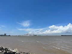 -上海滨江森林公园