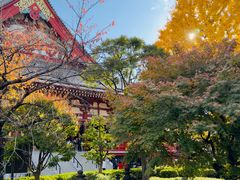 -浅草寺
