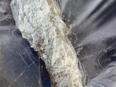 -糯米油条经营部