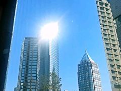 -今鲜源大酒店·中华餐饮名店(新湛路店)