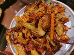 -蒙古人烹羊专家(东风大街店)
